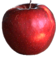 Ein Apfel